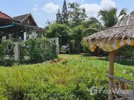  Grundstück zu verkaufen in Kathu, Phuket, Kathu