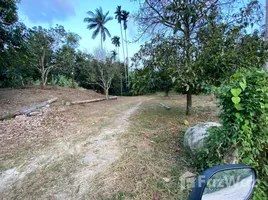 ขายที่ดิน ใน แม่น้ำ, สุราษฎร์ธานี, แม่น้ำ