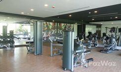 Photos 2 of the Communal Gym at Q Conzept Condominium