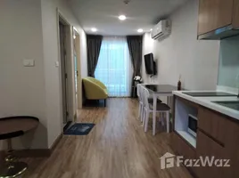1 Bedroom Condo for rent at Le Crique Condo, Bang Chak, Phra Khanong, Bangkok, Thailand