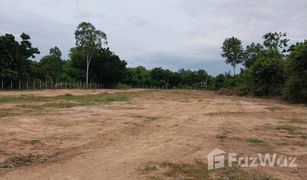 N/A Grundstück zu verkaufen in Wang Thong, Phitsanulok 