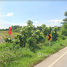  Land for sale in Sukhothai, Thap Phueng, Si Samrong, Sukhothai