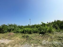  Земельный участок for sale in Mueang Nakhon Pathom, Nakhon Pathom, Nakhon Pathom, Mueang Nakhon Pathom