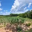  Terreno for sale in Cáceres, Mato Grosso, Cáceres