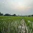 ขายที่ดิน ใน หนองหาร, เชียงใหม่, หนองหาร, สันทราย, เชียงใหม่