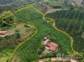  Terreno (Parcela) en venta en Colombia, Palestina, Caldas, Colombia