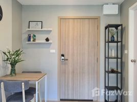 1 Bedroom Condo for rent at Plum Condo Sukhumvit 97.1, Bang Chak, Phra Khanong