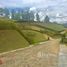  Terrain for sale in Antioquia, Medellin, Antioquia