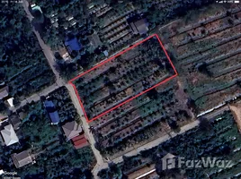  Land for sale in Samut Prakan, Bang Kachao, Phra Pradaeng, Samut Prakan