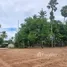 ขายที่ดิน ใน บางสะพาน ประจวบคีรีขันธ์, แม่รำพึง, บางสะพาน