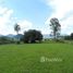  Land for sale in Rio Grande do Sul, Ararica, Ararica, Rio Grande do Sul