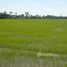  Land for sale in Lam Toiting, Nong Chok, Lam Toiting