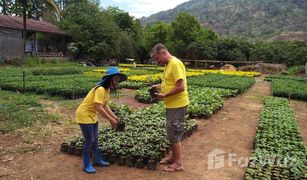 N/A Grundstück zu verkaufen in Nong Bua, Loei 