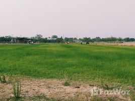  Земельный участок for sale in Doem Bang Nang Buat, Супанбури, Hua Khao, Doem Bang Nang Buat