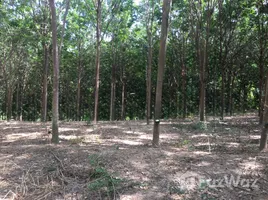  Land for sale in Phitsanulok, Nong Kathao, Nakhon Thai, Phitsanulok