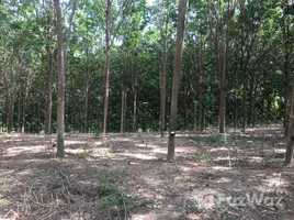  Terrain for sale in Thaïlande, Nong Kathao, Nakhon Thai, Phitsanulok, Thaïlande