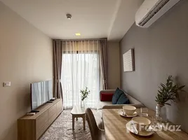 1 Bedroom Apartment for rent at The Base Rise, Wichit, Phuket Town
