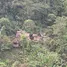  Land for sale in Mueang Kai, Chiang Mai, Mueang Kai, Mae Taeng, Chiang Mai
