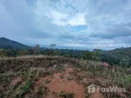 ขายที่ดิน ใน ตลิ่งงาม, สุราษฎร์ธานี, ตลิ่งงาม, เกาะสมุย