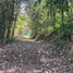  Land for sale in Mueang Kai, Chiang Mai, Mueang Kai, Mae Taeng, Chiang Mai