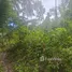 ขายที่ดิน ใน ลิปะน้อย, สุราษฎร์ธานี, ลิปะน้อย