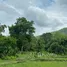  Land for sale in Mae Chan, Chiang Rai, Mae Chan, Mae Chan