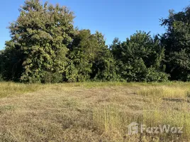 ขายที่ดิน ใน น้ำแพร่, เชียงใหม่, น้ำแพร่