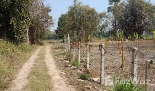 N/A Grundstück zu verkaufen in Ban Du, Chiang Rai 