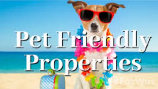 Pet Friendly properties graphics 