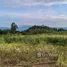 ขายที่ดิน ใน โป่งตาลอง, นครราชสีมา, โป่งตาลอง, ปากช่อง, นครราชสีมา, ไทย