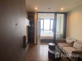 คอนโด 1 ห้องนอน ให้เช่า ในโครงการ เดอะ ไลน์ สุขุมวิท 71, พระโขนงเหนือ, วัฒนา, กรุงเทพมหานคร