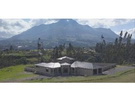 在Imbabura出售的3 卧室 屋, Cotacachi, Cotacachi, Imbabura