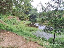 3 спален Дом for sale in San Mahaphon, Чианг Маи, San Mahaphon, Mae Taeng, Чианг Маи