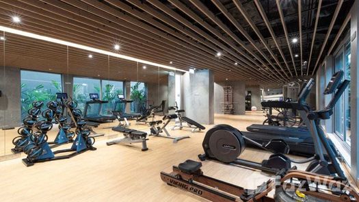 Фото 4 of the Gimnasio Comunitario at Twinpalms Residences by Montazure