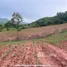  Land for sale in Dan Sai, Loei, Khok Ngam, Dan Sai