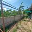 3 Bedroom House for sale in Chai Nat, Ban Kluai, Mueang Chai Nat, Chai Nat