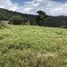  Land for sale in Costa Rica, Dota, San Jose, Costa Rica