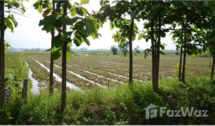 N/A Grundstück zu verkaufen in Mae Puem, Phayao 