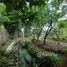 Grundstück zu verkaufen in Nang Lae, Chiang Rai, Nang Lae, Mueang Chiang Rai, Chiang Rai, Thailand