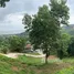  Land for sale in Ko Yo, Songkhla, Ko Yo, Mueang Songkhla, Songkhla