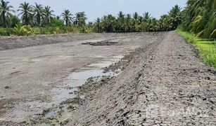 N/A Grundstück zu verkaufen in Lak Sam, Samut Sakhon 