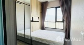 KnightsBridge Prime On Nut 在售单元