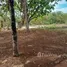  Terreno (Parcela) en venta en Santa Fe, Central Visayas, Santa Fe