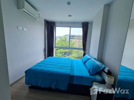 ขายคอนโด 1 ห้องนอน ในโครงการ วันพลัส นายน์ทีน 2, ช้างคลาน, เมืองเชียงใหม่, เชียงใหม่, ไทย