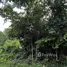 ขายที่ดิน ใน หนองยาว, สระบุรี, หนองยาว, เมืองสระบุรี, สระบุรี, ไทย