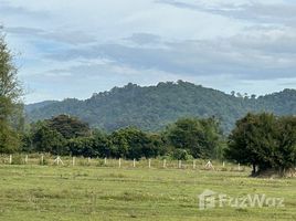  Grundstück zu verkaufen in Ban Na, Nakhon Nayok, Khao Phoem, Ban Na