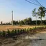  Land for sale in Chiang Mai, Buak Khang, San Kamphaeng, Chiang Mai