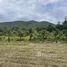  Земельный участок for sale in Cho Lae, Чианг Маи, Cho Lae, Mae Taeng