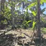  Terreno (Parcela) en venta en Serengan, Lombok, Serengan