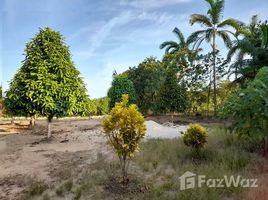  Terrain for sale in Amazonas, Presidente Figueiredo, Presidente Figueiredo, Amazonas